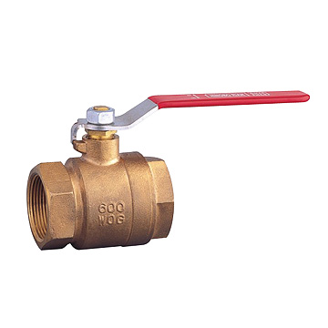 bronze check valve